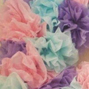 Meet your Posher, Elise